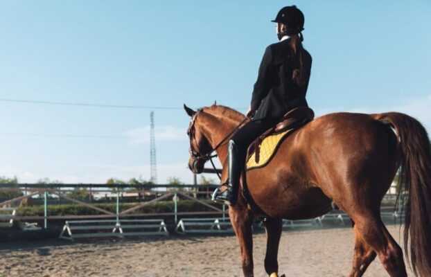 Seguro para caballos: FULLCOVER, el seguro olímpico de equitación Tokio 2021