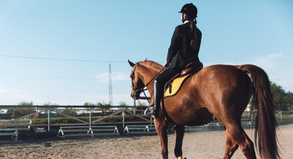Seguro para caballos: Fullcover, el seguro olímpico de equitación Tokio 2021