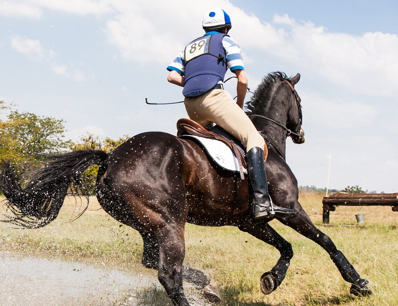 QUISTE SUBCONDRAL: ¿Qué son y cómo pueden afectar a nuestro caballo?
