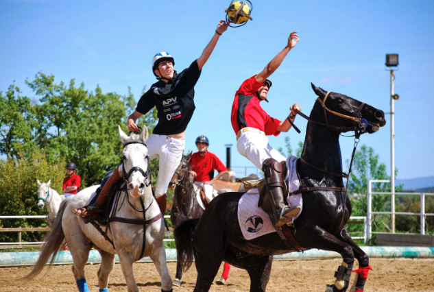 Horsball