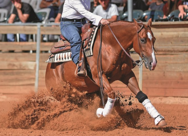 Reining