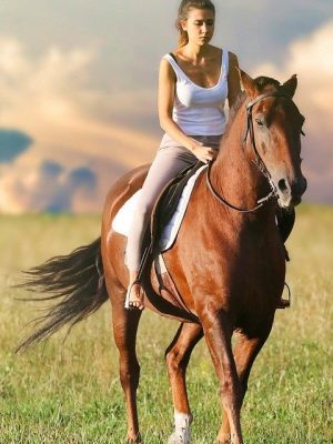 woman, riding, horse